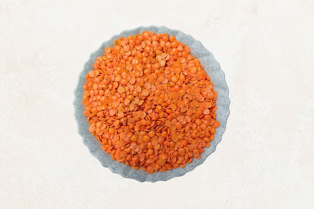 Masoor dal